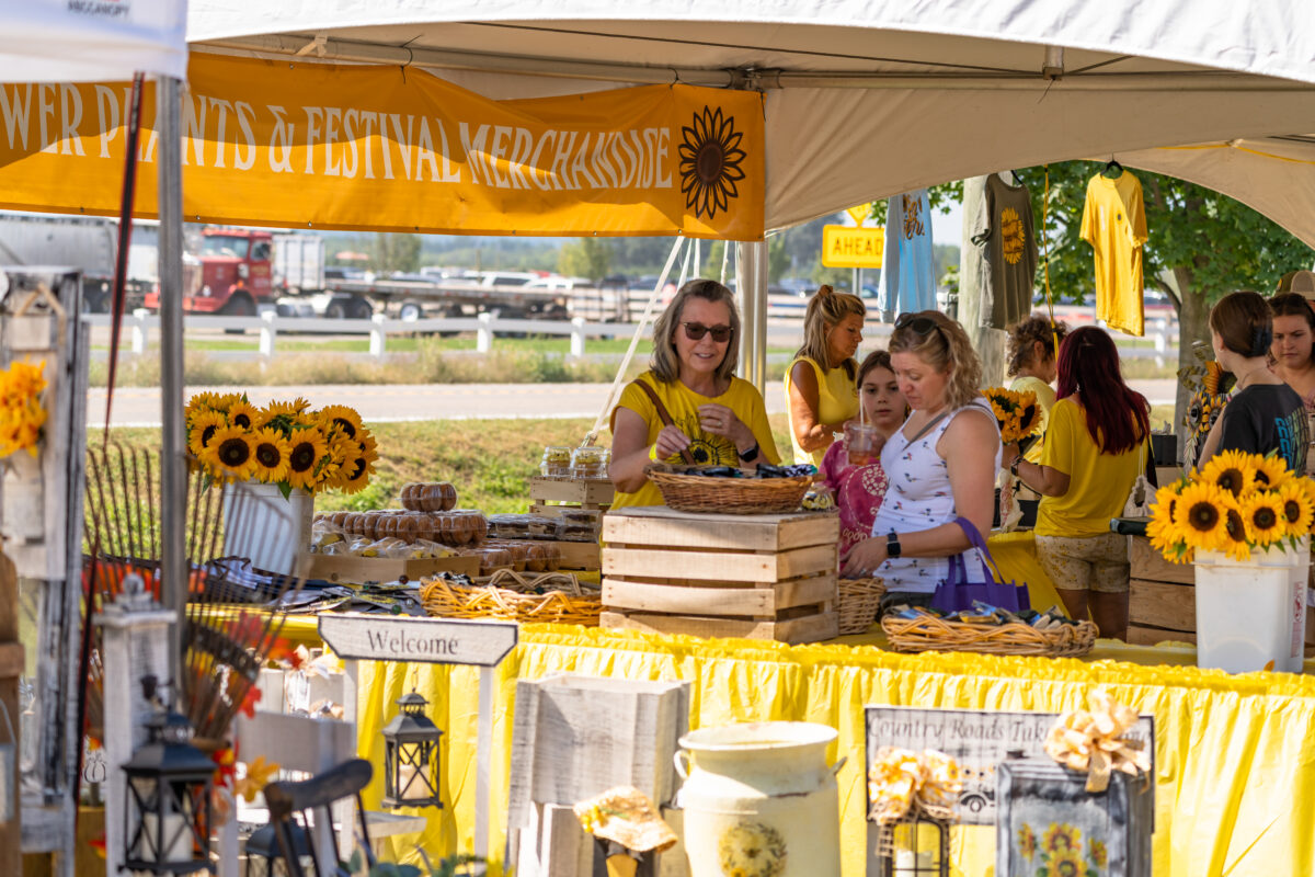 Sunflower fields near detroit blake farms