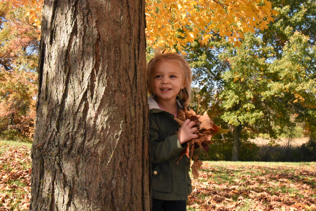 where to see fall colors detroit